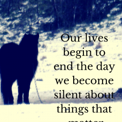 Remus Horse Sanctuary – An Inspiration
