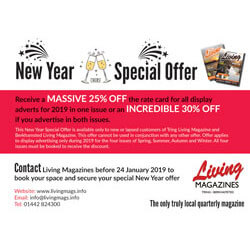 New Year Special Advertising Offer