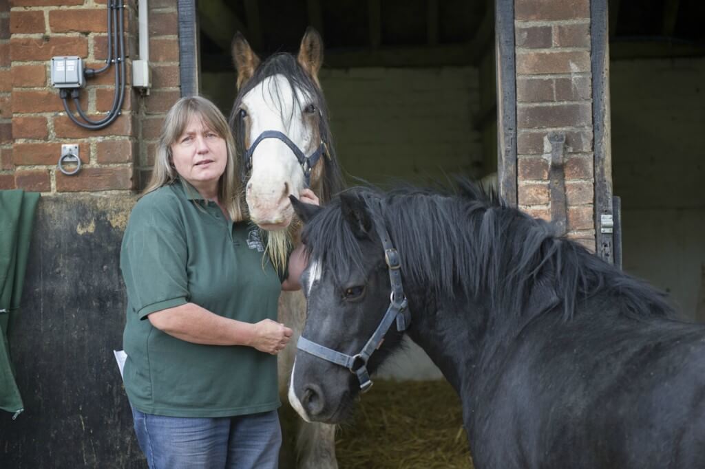 Sue Burton, Founder of Remus Horse Sanctuary with rescued blind mares Grace and Holly